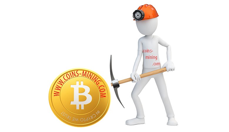 Bitcoin Miners